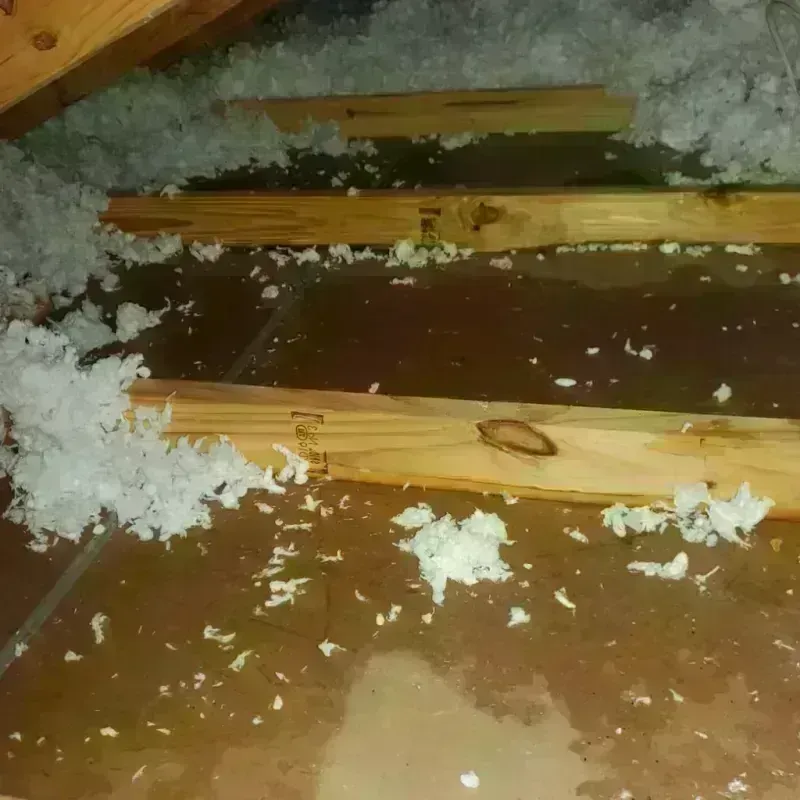 Attic Water Damage in Pearl River, LA